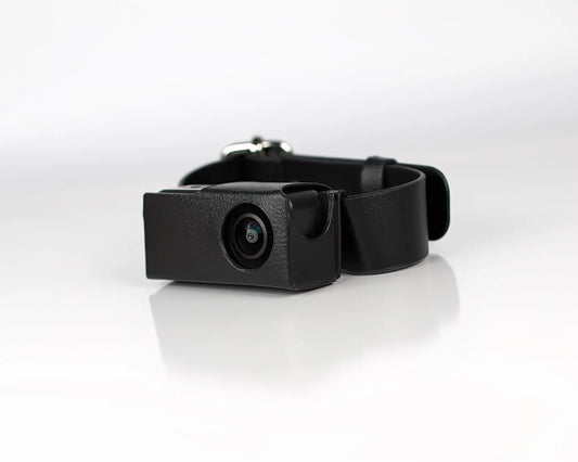 HD 1080P Pet Cameras Dog Cat Pet Camera Wireless Collar Camera No Wifi Needed Video Records for Cats Dogs Birthday Gift